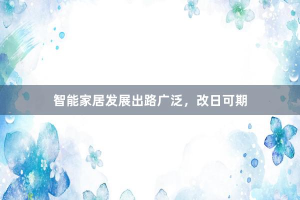 智能家居发展出路广泛，改日可期